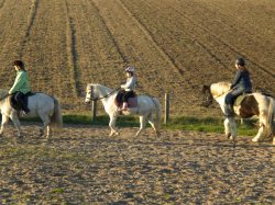 Reiten auf dem Reitplatz