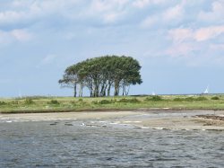 Schleim&uuml;nde Naturschutzgebiet