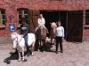 Ponyreiten 