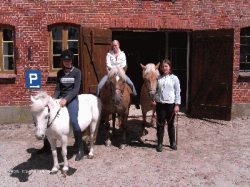 Ponyreiten 
