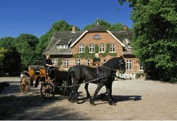 Ferienhof Reiterhof Osterbunsb&uuml;ll