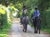 Ostsee Reiten