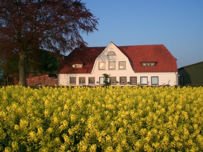 Sonnenuntergang Boysenfeld