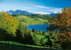 Alpsee-Grünten-Inklusive Buchen Sie sich unsere attraktiven Paketangebote direkt auf die Allg�u-Walser-Card und profitieren Sie von unschlagbaren Vorteilspreisen!