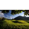 Natur pur in ...