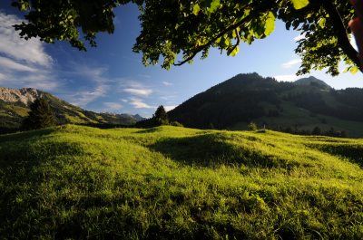 Natur erleben in Hinterstein Natur erleben in Hinterstein