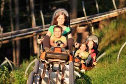 Alpsee Coaster