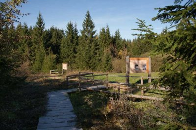 buchenberg_moor buchenberg_moor