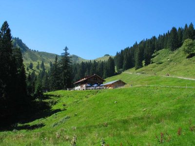 bolsterlang_alpebolgen_unbekannt bolsterlang_alpebolgen_unbekannt