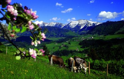 oberstaufen_hochgrat