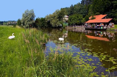 waltenhofen_widdumer-weiher