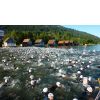 Triathlon am ...