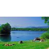 Baggersee in ...