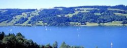Seglen und Surfen auf dem Alpsee Segler und Surfer kommen am Alpsee bei Immenstadt voll auf ihre Kosten.