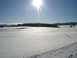 Buchenberg Winterimpression