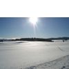Buchenberg Wi...
