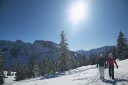 Winterwandern in Obermaiselstein Zum Winterwandern ist das Oberallg�u ideal. Auch rund um Obermaiselstein gibt es traumhafte Winterwanderwege. �