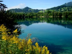 Naturoase Oberallgäu