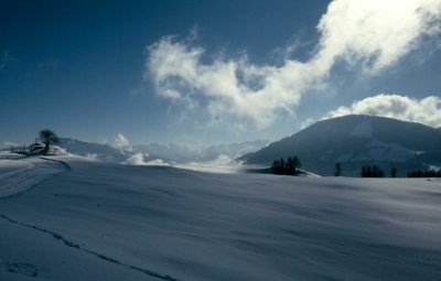 Winter in Missen Wilhams (© Tourismusbüro Missen-Wilhams : Tourismusbüro Missen-Wilhams ) Winter in Missen Wilhams (© Tourismusbüro Missen-Wilhams : Tourismusbüro Missen-Wilhams )