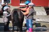 Ponyreiten auf dem Hof Weilandt