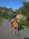 reiten