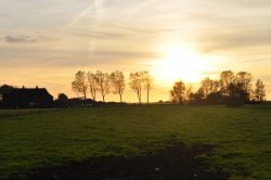Marschenblick