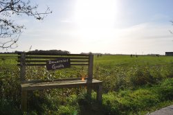 Fofteinbank 