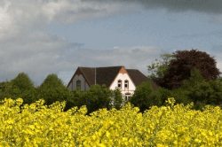 Fr&uuml;hlingsidylle Hof Osterholz