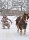 Schlittenfahren mit Pony