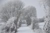 spazierengehenimschnee