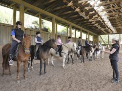 Reiten in der Reithalle