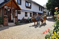 Pony- und Bauernhof Hessel