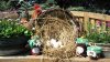 Eier und Marmelade im Korb