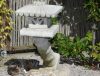 Katze im japanischen Garten