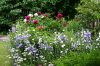 Gartenbl&uuml;te im Juni