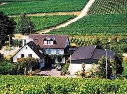 Urlaub in der Pfalz