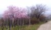 imag0027