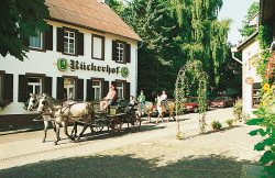 Landdomäne Rückerhof Landdomäne Rückerhof