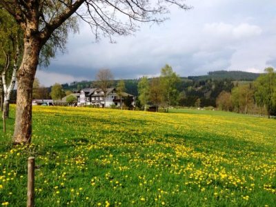 lwenzahnhof-allo lwenzahnhof-allo