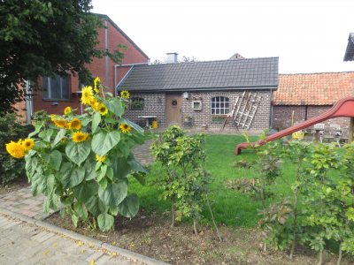 Grillhütte Grillhütte