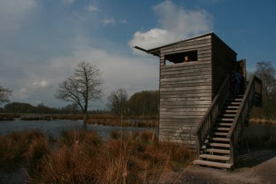 De Wittsee Aussichtsplattform De Wittsee Aussichtsplattform