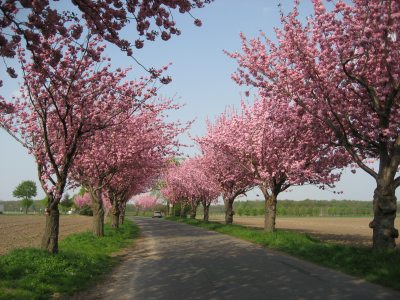 Frühling in Leuth Frühling in Leuth