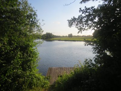 Kälberweide Kälberweide