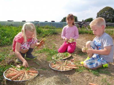 "Kuhpizza" backen "Kuhpizza" backen
