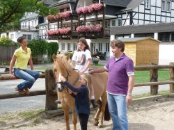 Isidor auf dem Reitplatz