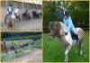 Reiten
