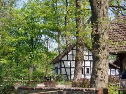 Backhaus