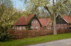 Hofansicht mit Birnbaum
