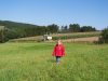 Die Natur entdecken
