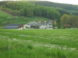 Hofbild